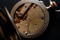 /album/fotogaleria/dsc-0196-jpg/